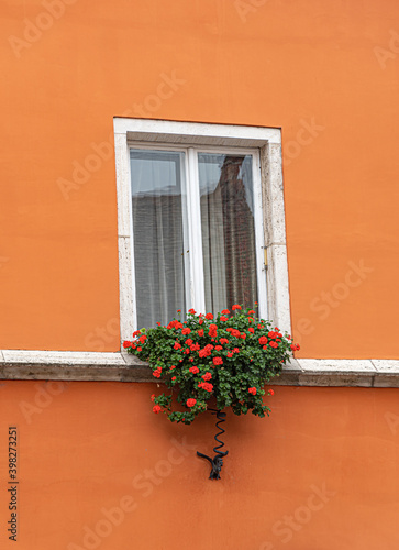 White window with flowers on the windowsill. photo