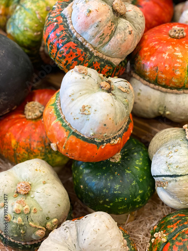 Turban squash, Turk's turban, French turban. Giraumon turban. Cucurbita maxima. For sale in supermarket or farmers market.
