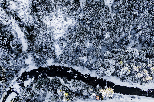 snow-covered forest in the mountains and a mountain river. View from above