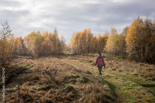 Adult woman hiking among yellow leafed birches © IoaBal
