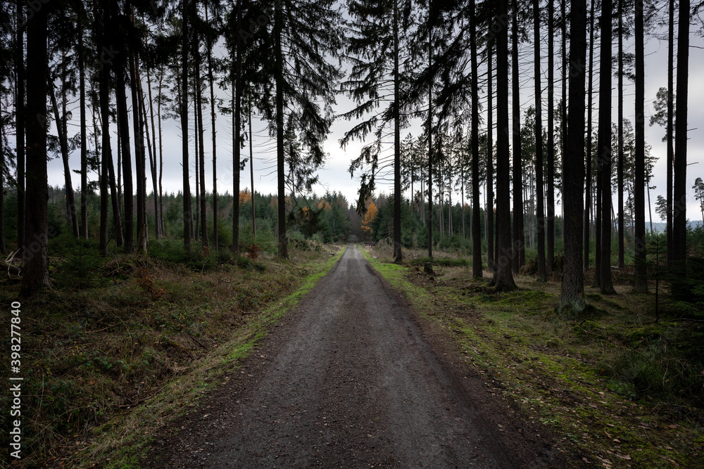 Römerstraße Hecken/Dickenschied Römerstraße Hecken/Dickenschied