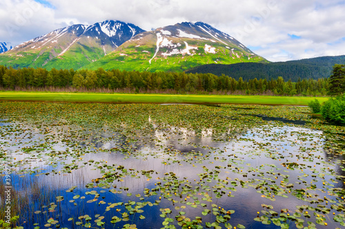 Chugach National Forest in Alaska photo