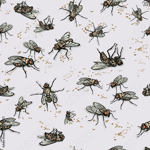 fly, insect, various poses, movements and foreshortenings of figures, black, color, pattern