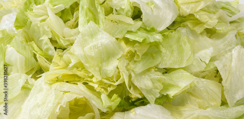 Fresh and natural salad texture