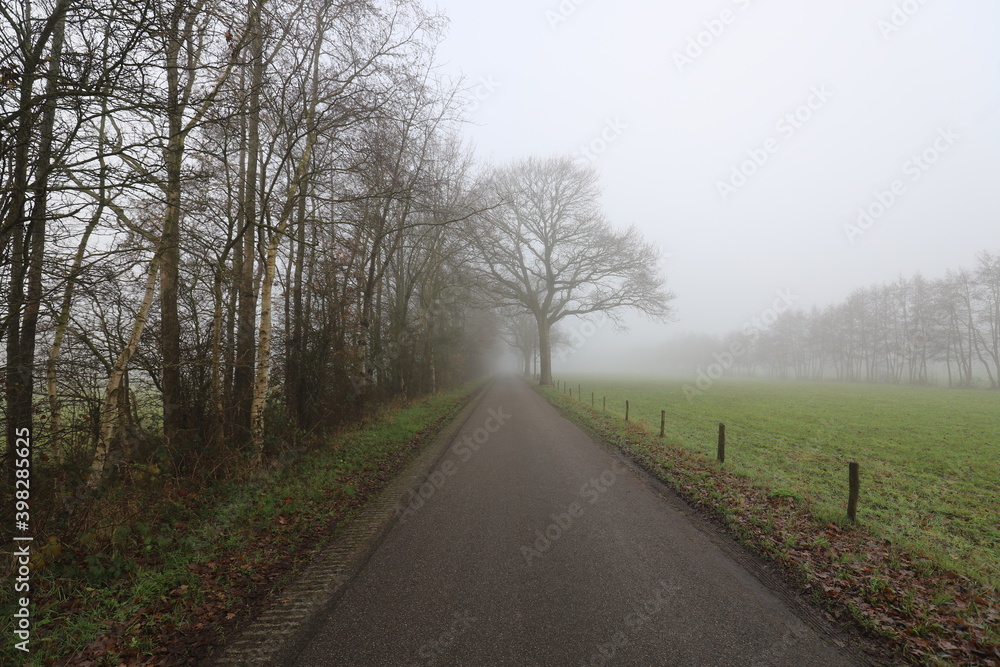 Beautiful autumn landscape on a misty morning with a lonely rural road along the meadows.