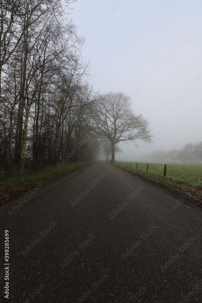 A quiet Dutch country road at the end of autumn surrounded by fog.