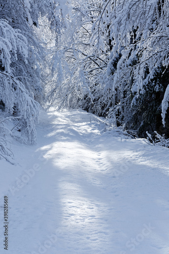 Wallpaper Mural chemin enneigé Torontodigital.ca