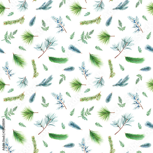 Spruce branch seamless pattern. Watercolor fir, pine, juniper twigs