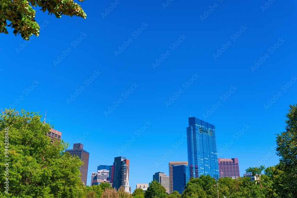 Obraz premium Boston Common's Skyline View