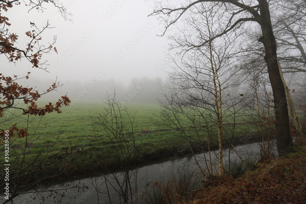 Beautiful autumn landscape on a misty morning with forest edge, stream and pasture. Beautiful autumn landscape on a misty morning with forest edge, stream and pasture.