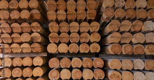 Round logs at the sawmill.Stacks of round logs for building a wooden house. Woodworking factory.