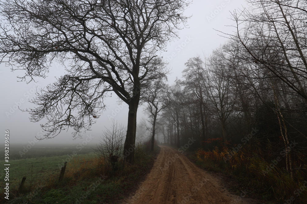 Rural dirt road on a foggy cold november day. Rural dirt road on a foggy cold november day.
