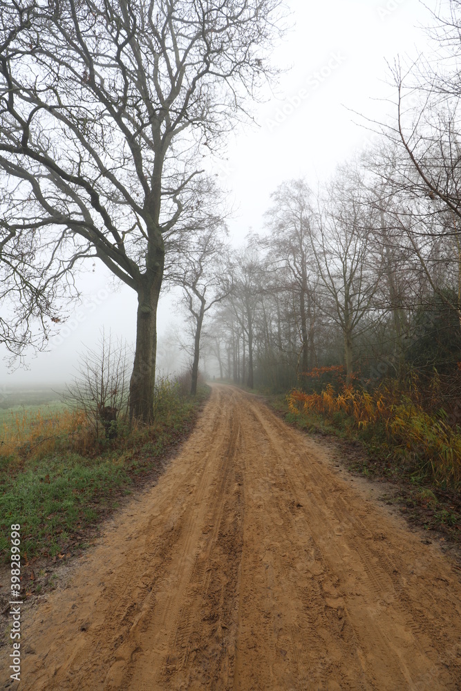 Rural dirt road on a foggy cold november day.