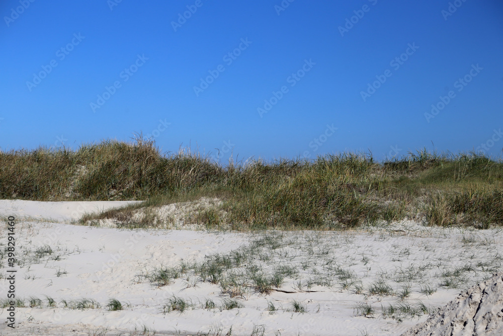 Düne mit Grass an der Ostsee, Ahrenshoop, Deutschland Düne mit Grass an der Ostsee, Ahrenshoop, Deutschland