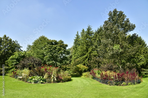 Variété incroyable de plantes et d'arbres à l'arboretum de Kalmthout au nord d'Anvers