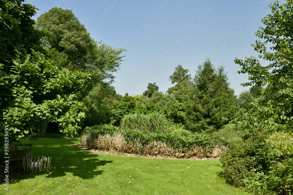 Variété incroyable de plantes et d'arbres à l'arboretum de Kalmthout au nord d'Anvers
