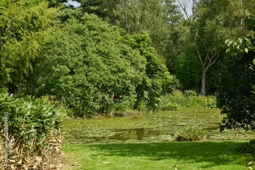 L   tang biologique au milieu de la v  g  tation luxuriante de l arboretum de Kalmthout au nord d Anvers