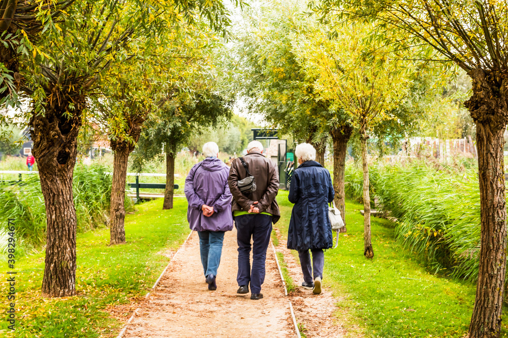 Fototapeta premium old people walking in a forest in summer.