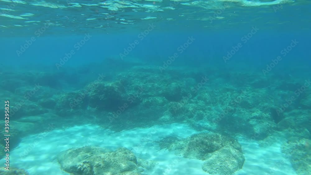 Underwater view of Alghero turquoise sea with rocks, sand and fish. Sardinia, It Underwater view of Alghero turquoise sea with rocks, sand and fish. Sardinia, It