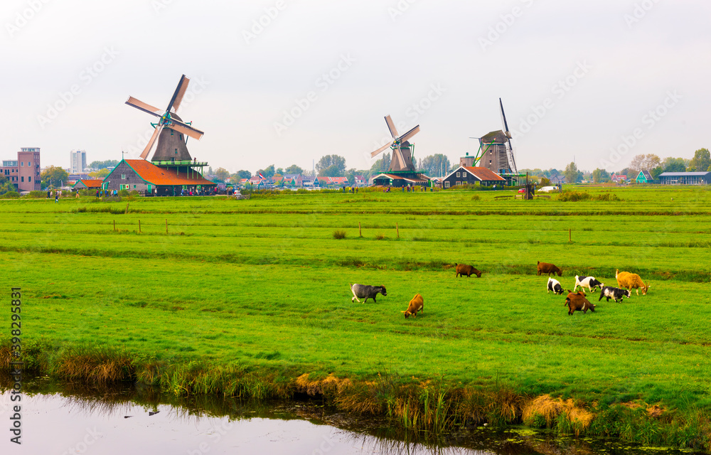 Zaanse Schans. The Zaanse Schans is a typically Dutch small village in ...