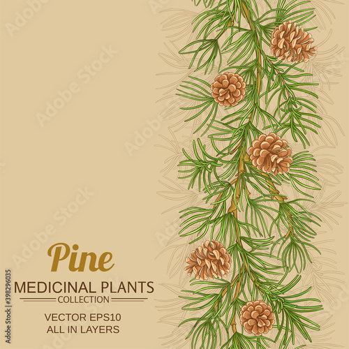 pine vector background