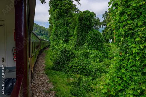 Train Ride Through Nantahala National Forest