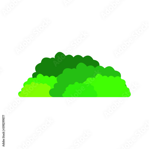 image of a bush on a white background, vector illustration