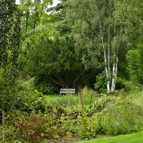 Coin reposant au milieu de la v  g  tation luxuriante et paysag  re de l arboretum de Kalmthout au nord d Anvers