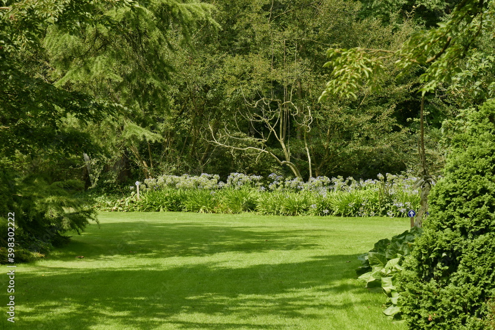 Fototapeta premium Parterres de végétation luxuriante entre les différents arbres d'une incroyable beauté à l'arboretum de Kalmthout au nord d'Anvers 