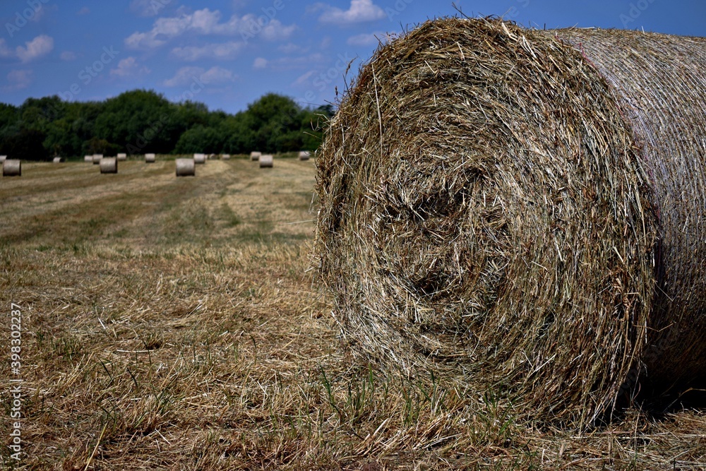 Hay bale in the field after harvest, blue cloudy sky. UK Hay bale in the field after harvest, blue cloudy sky. UK