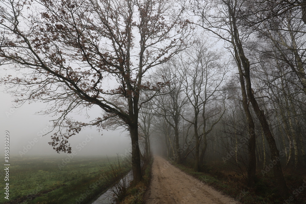 Rural dirt road on a foggy cold november day. Rural dirt road on a foggy cold november day.