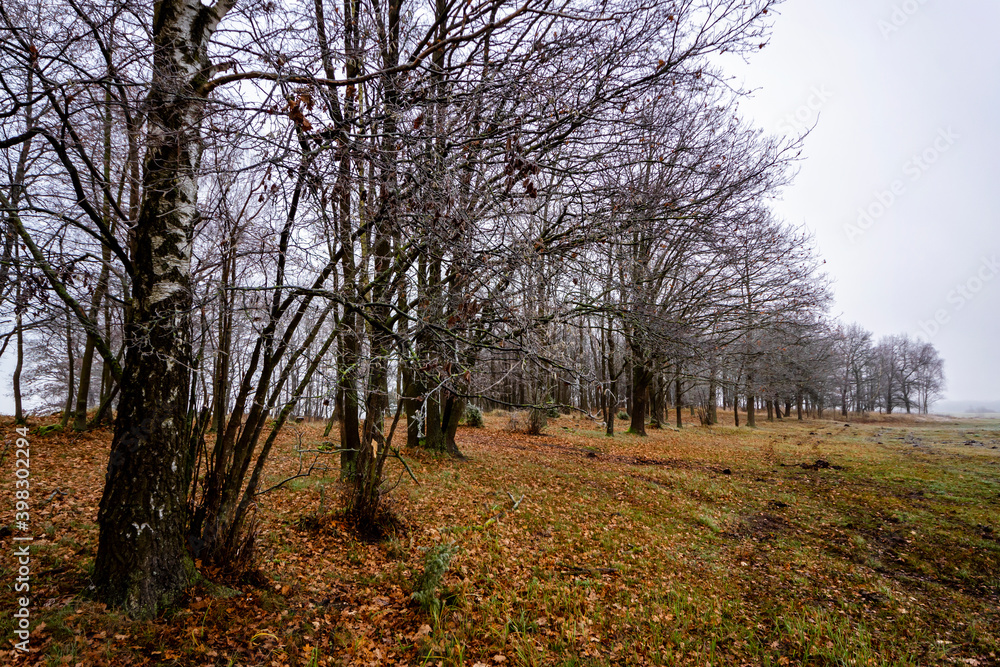 Jesienny krajobraz Doliny Narwi, Podlasie, Polska Jesienny krajobraz Doliny Narwi, Podlasie, Polska