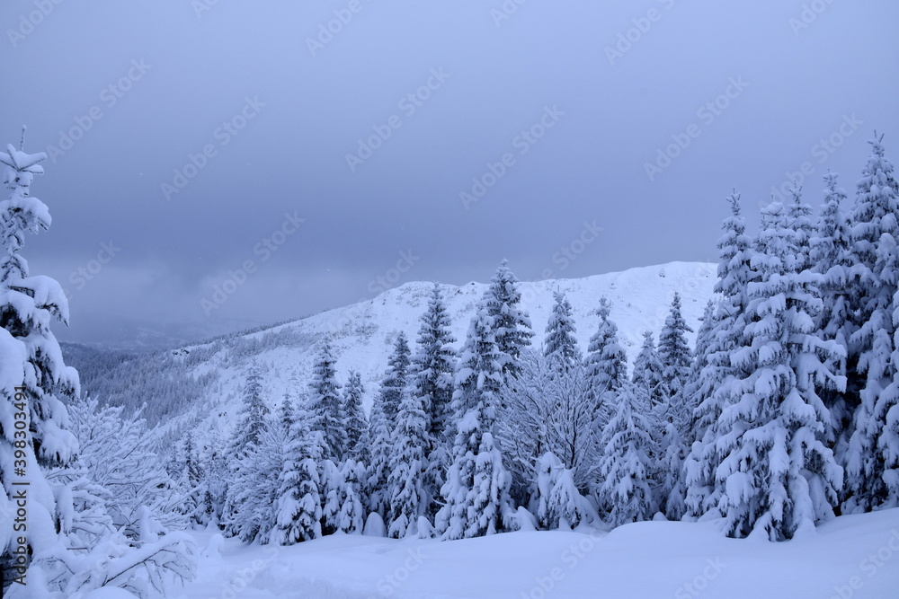 Tatry zima zaspy, duże opady śniegu, zasypane szlaki, śnieżyca - obrazy, fototapety, plakaty 