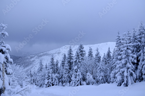 Tatry zima zaspy, duże opady śniegu, zasypane szlaki, śnieżyca © Albin Marciniak