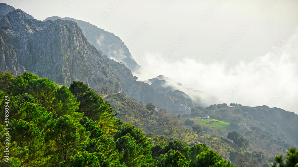 Parque Natural Sierra de Grazalema, provincia de Cádiz, Andalucía, España Parque Natural Sierra de Grazalema, provincia de Cádiz, Andalucía, España