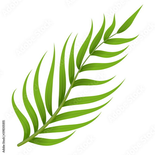 Green fern style leaf