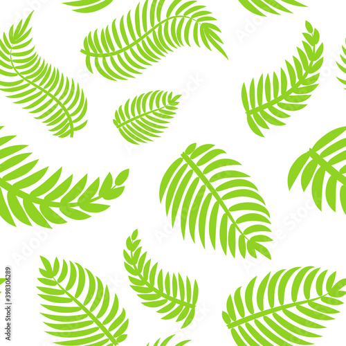 Leaves seamless pattern. Green fern style leaf