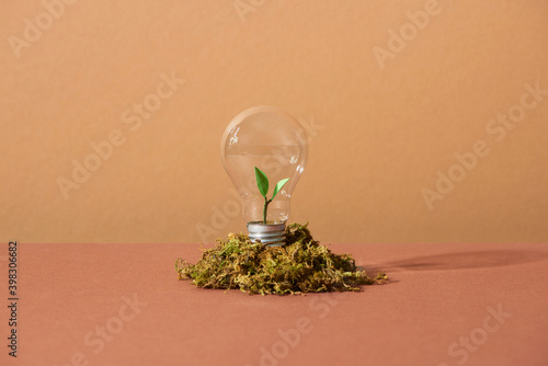 idea and energy concept Light bulb in soil