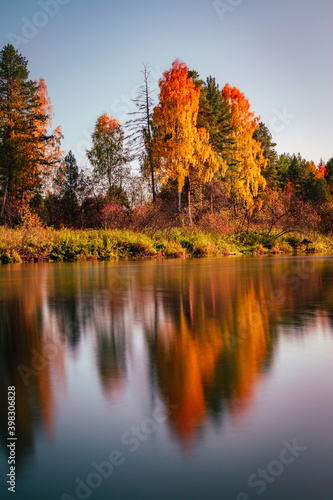 Birch and pine trees in autumn colors reflecting in the river long exposure