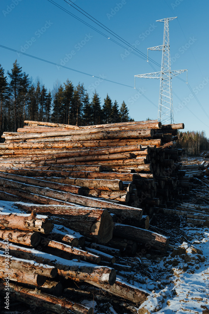 Wooden logs against power line Wooden logs against power line