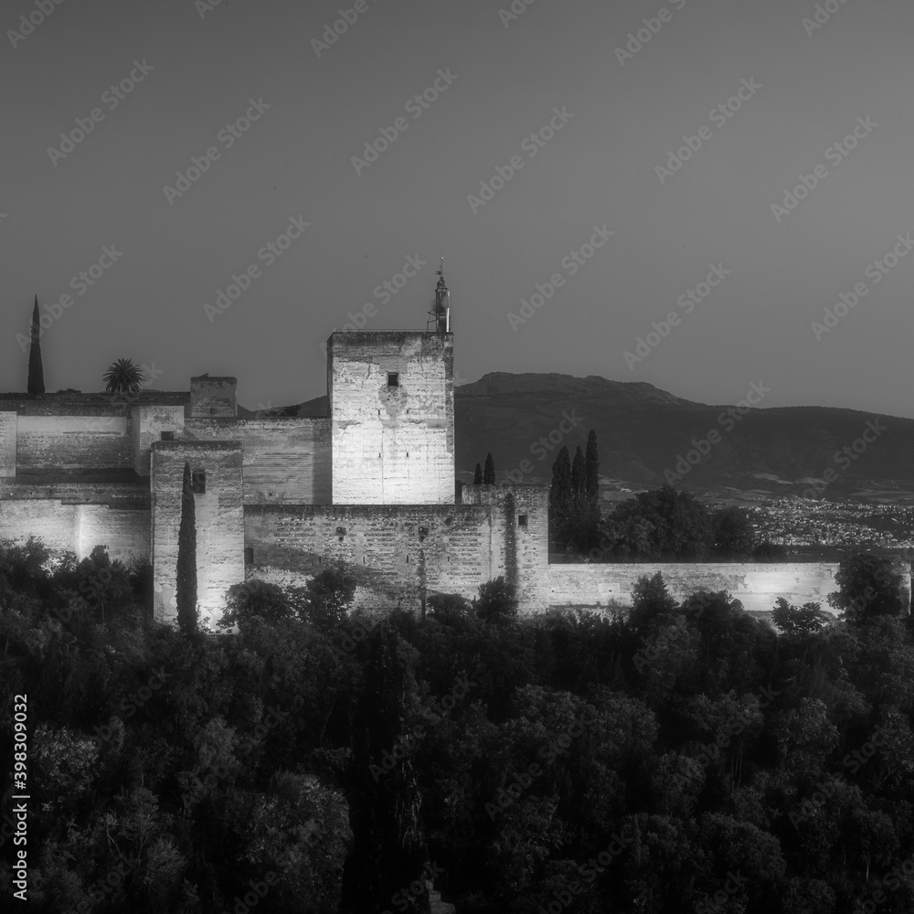 Alhambra al detalle