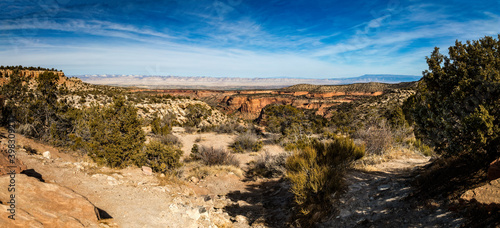 Panoramic view over the Columbus Canyon, Colordo fom the Cold Shivers view point
