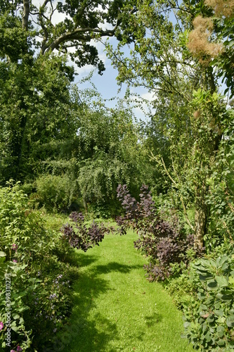 Chemin en gazon entre les différentes plantes et arbres de l'arboretum de Kalmthout au nord d'Anvers