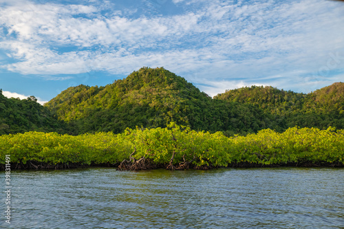 Landscape of mangroves ecosystems on Siargao Island, Philippines.