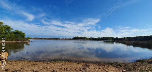 Cielo en estanque