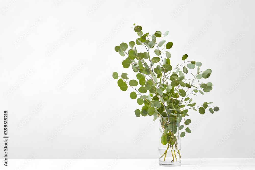 Natural Eucalyptus plant in a glass. Natural Eucalyptus plant in a glass.