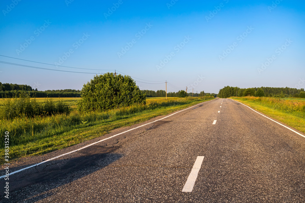 Fototapeta premium Asphalt road going through the countryside going into the distance. Summer travel concept.