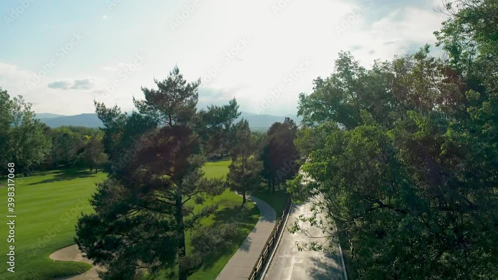 WS AERIAL Road lined with autumn trees WS AERIAL Road lined with autumn trees