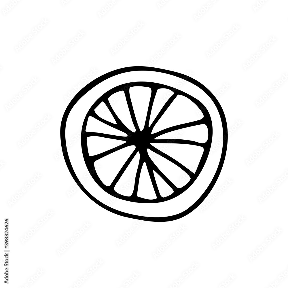 Hand drawn doodle style citrus in vector. Isolated illustration on white background. For graphic and web design