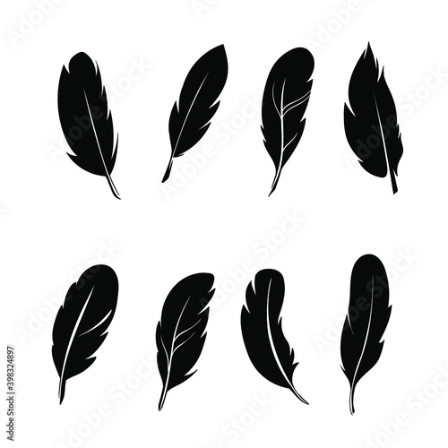 Duck black and white isolated on a white background. Farm. Agriculture